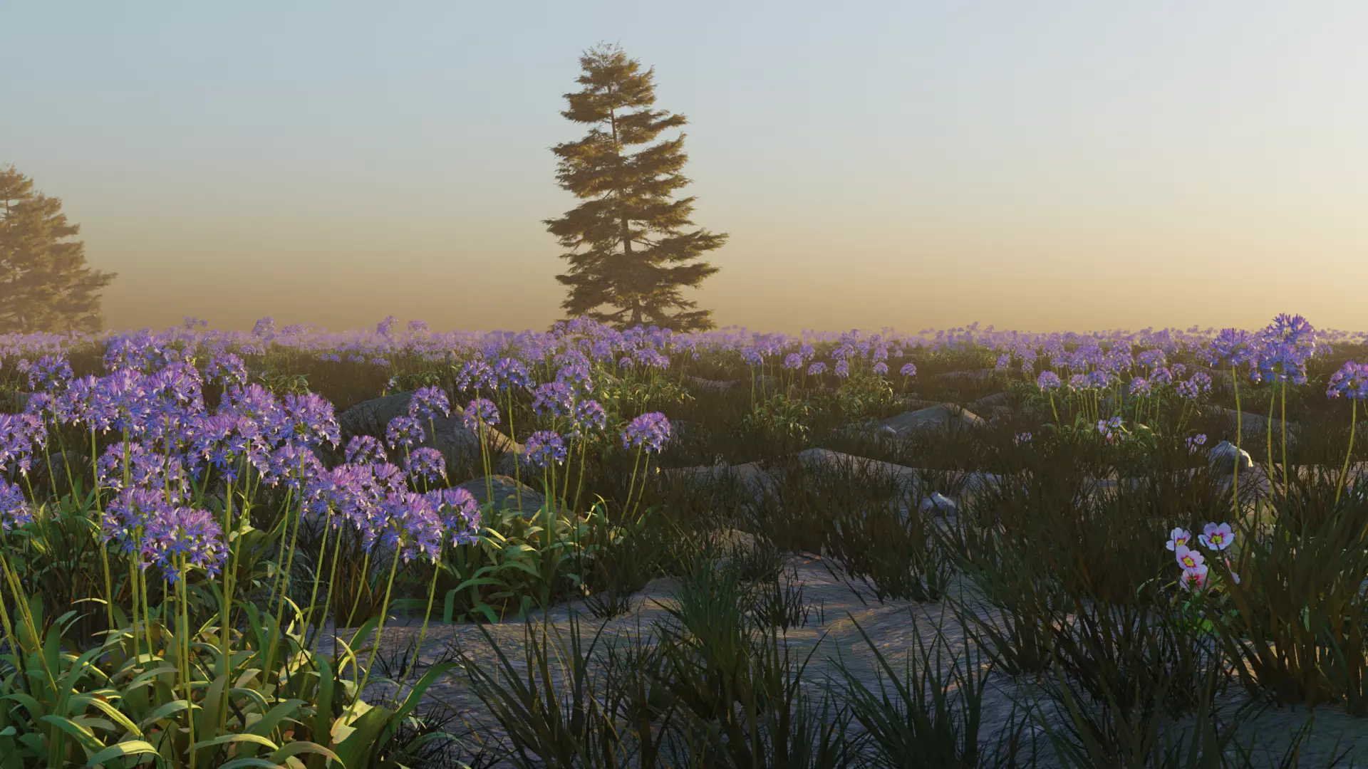 Agapanthus field 3D model_0