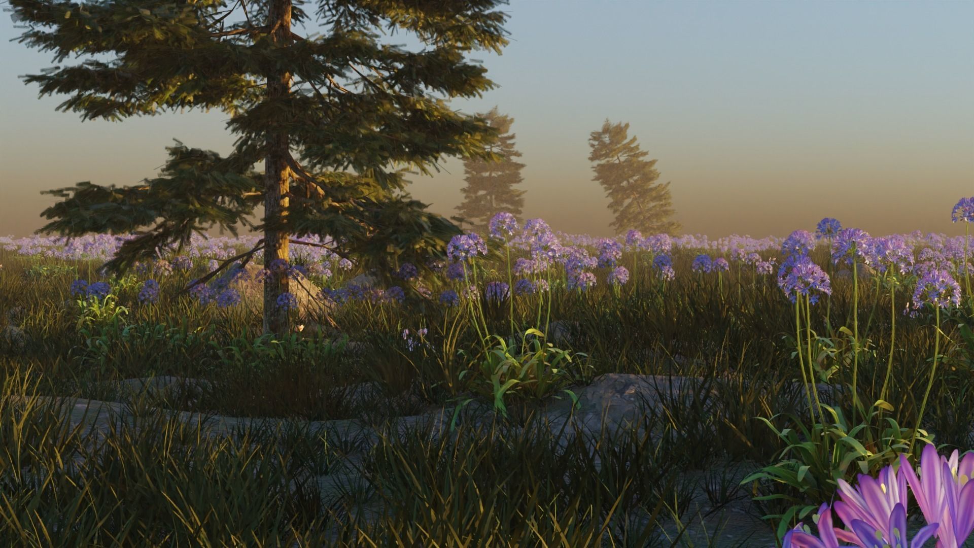 Agapanthus field 3D model_4