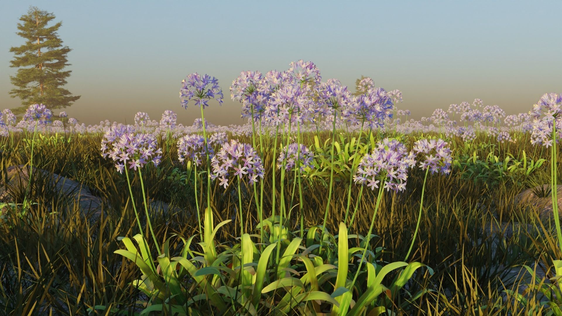 Agapanthus field 3D model_2