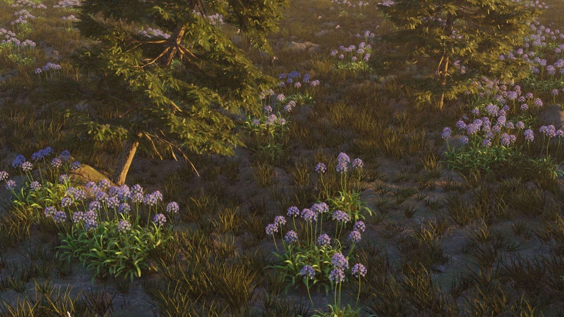 Agapanthus field 3D model_3