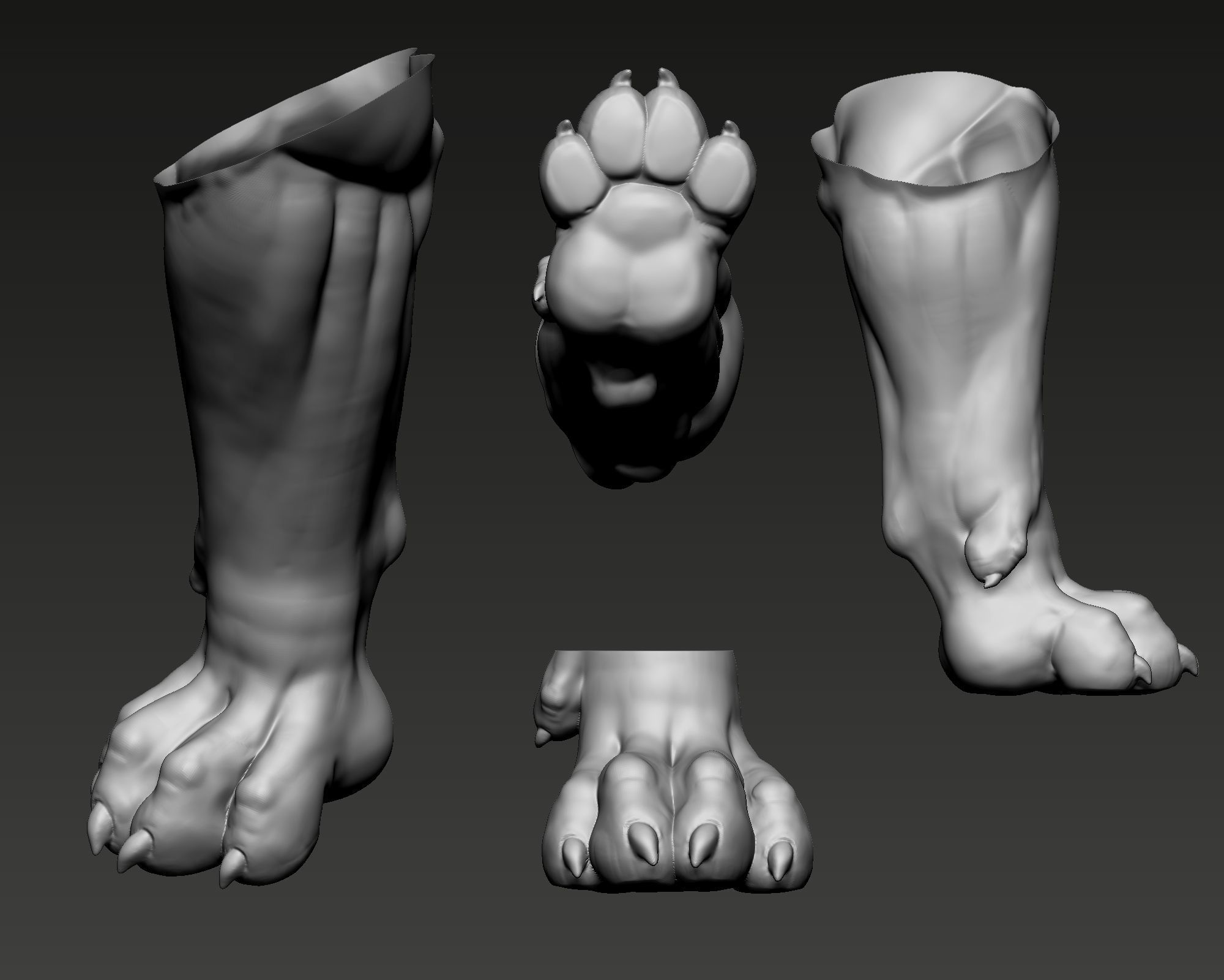 Bull Terrier Dog 3D print model_10