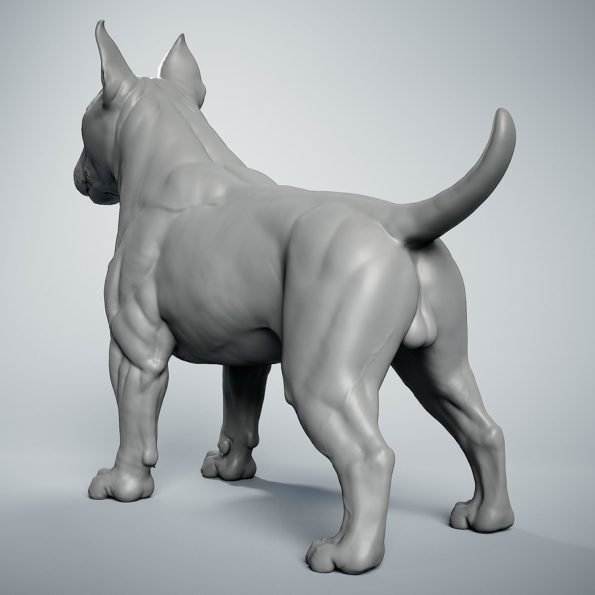 Bull Terrier Dog 3D print model_3