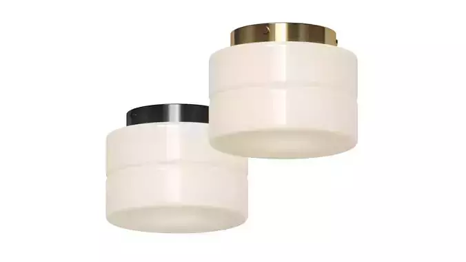 Puck Surface Mount - In common with