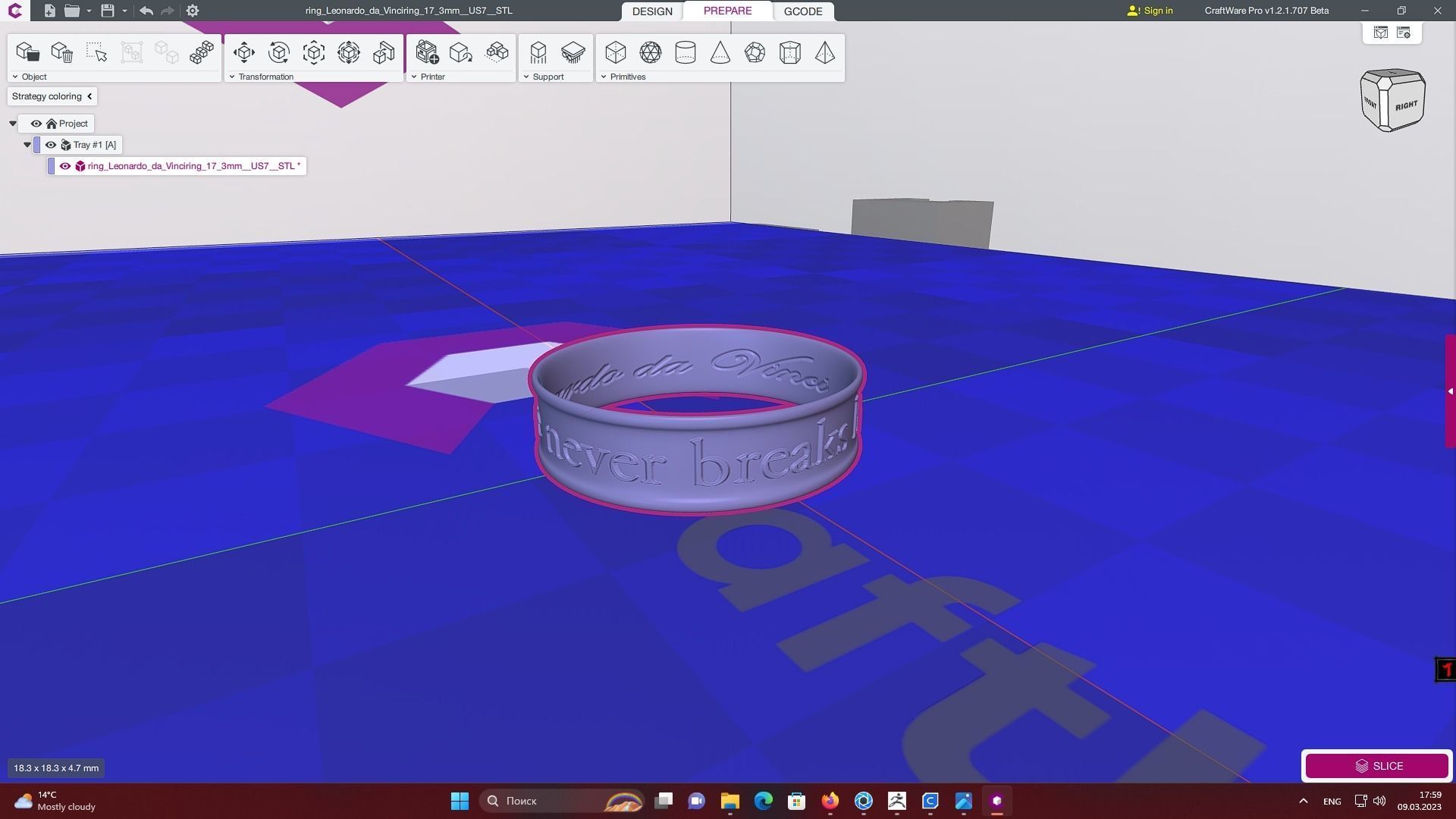 Leonardo da Vinci phrase ring STL 3D model for 3D printing 3D print model_7