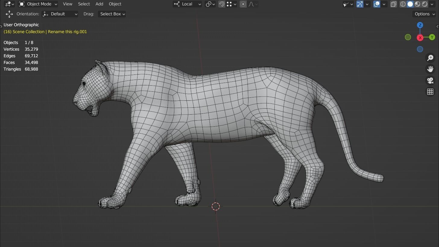 Siberian tiger 3D model_14