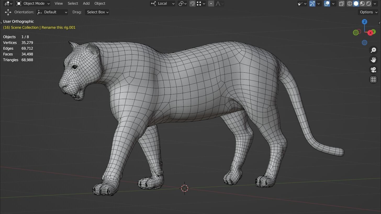 Siberian tiger 3D model_12
