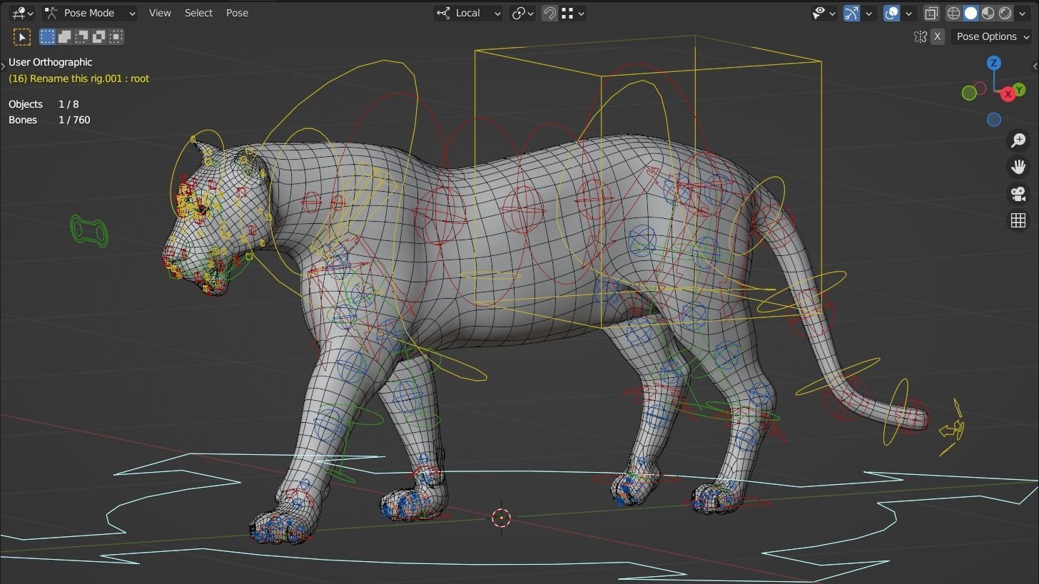 Siberian tiger 3D model_13