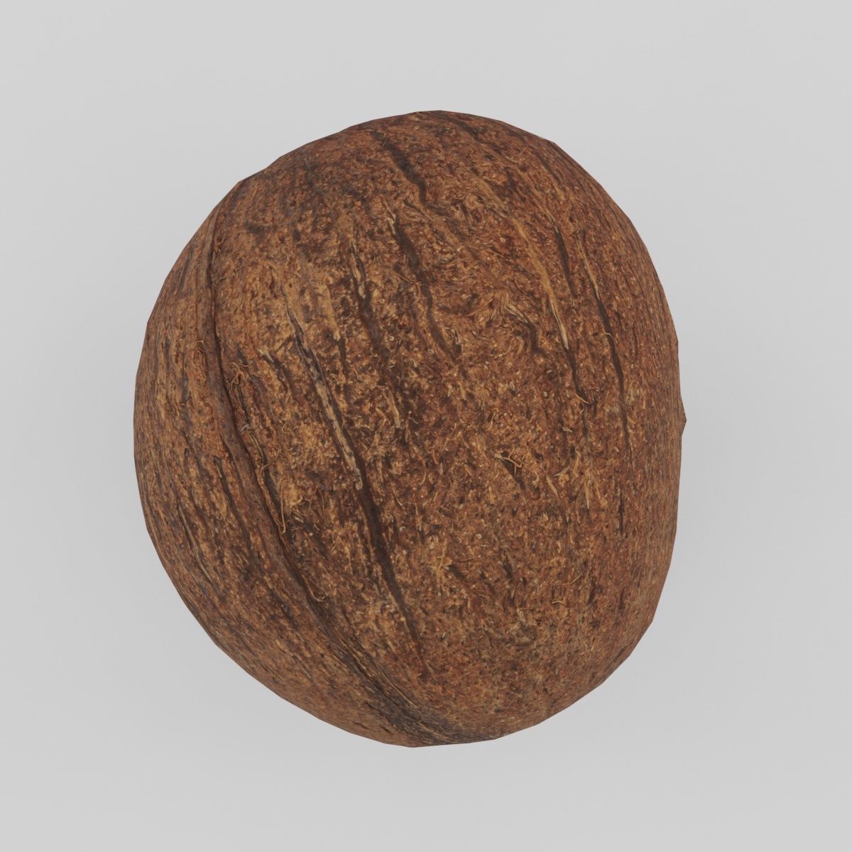 coconut - photoscan Low-poly 3D model_5