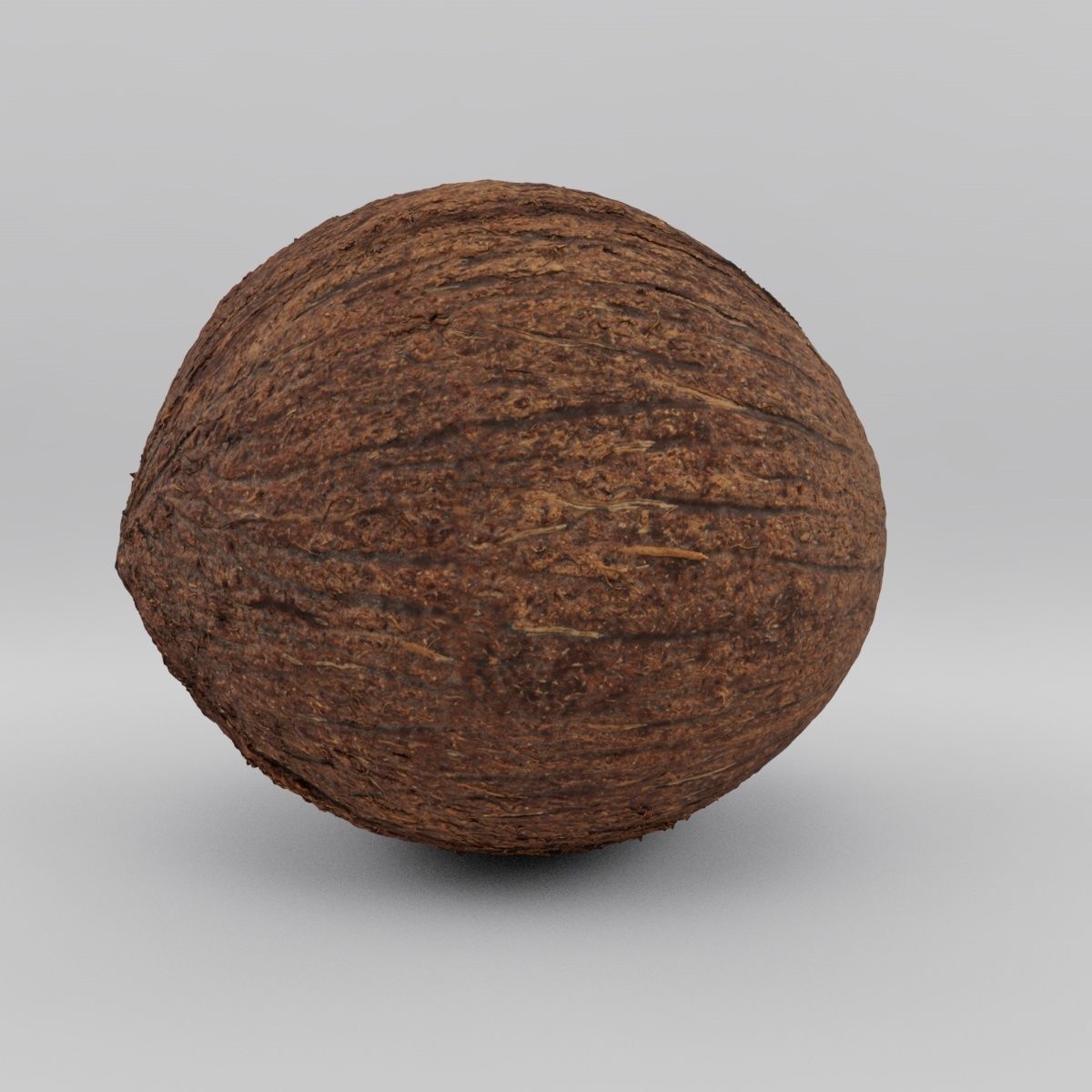 coconut - photoscan Low-poly 3D model_1