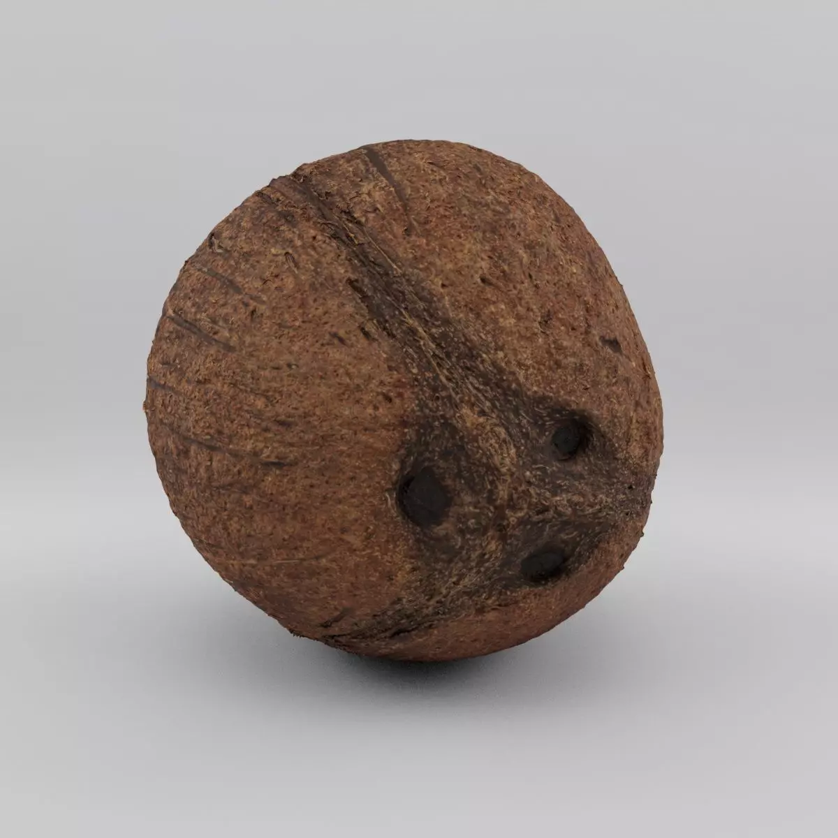 coconut - photoscan Low-poly 3D model_0