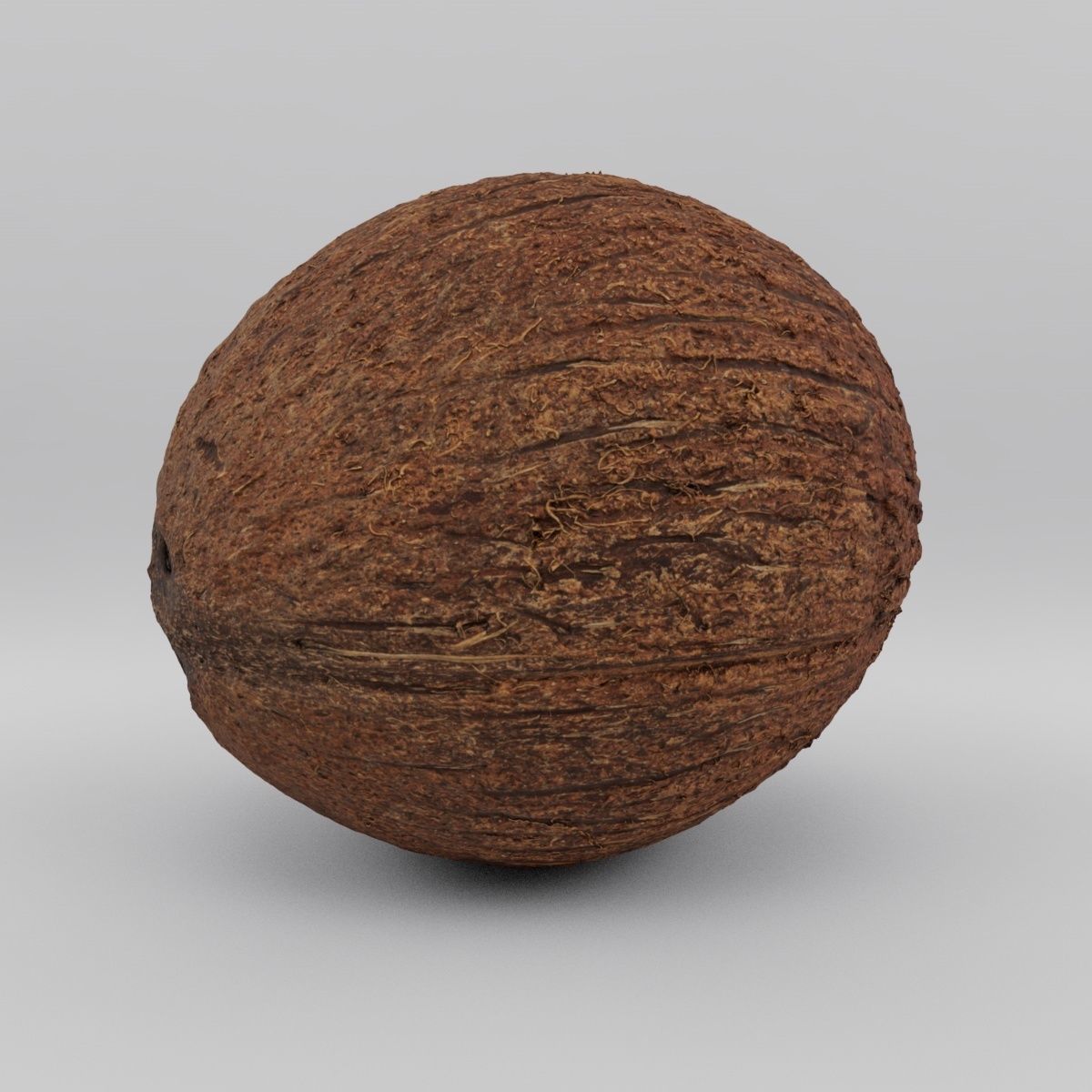 coconut - photoscan Low-poly 3D model_3