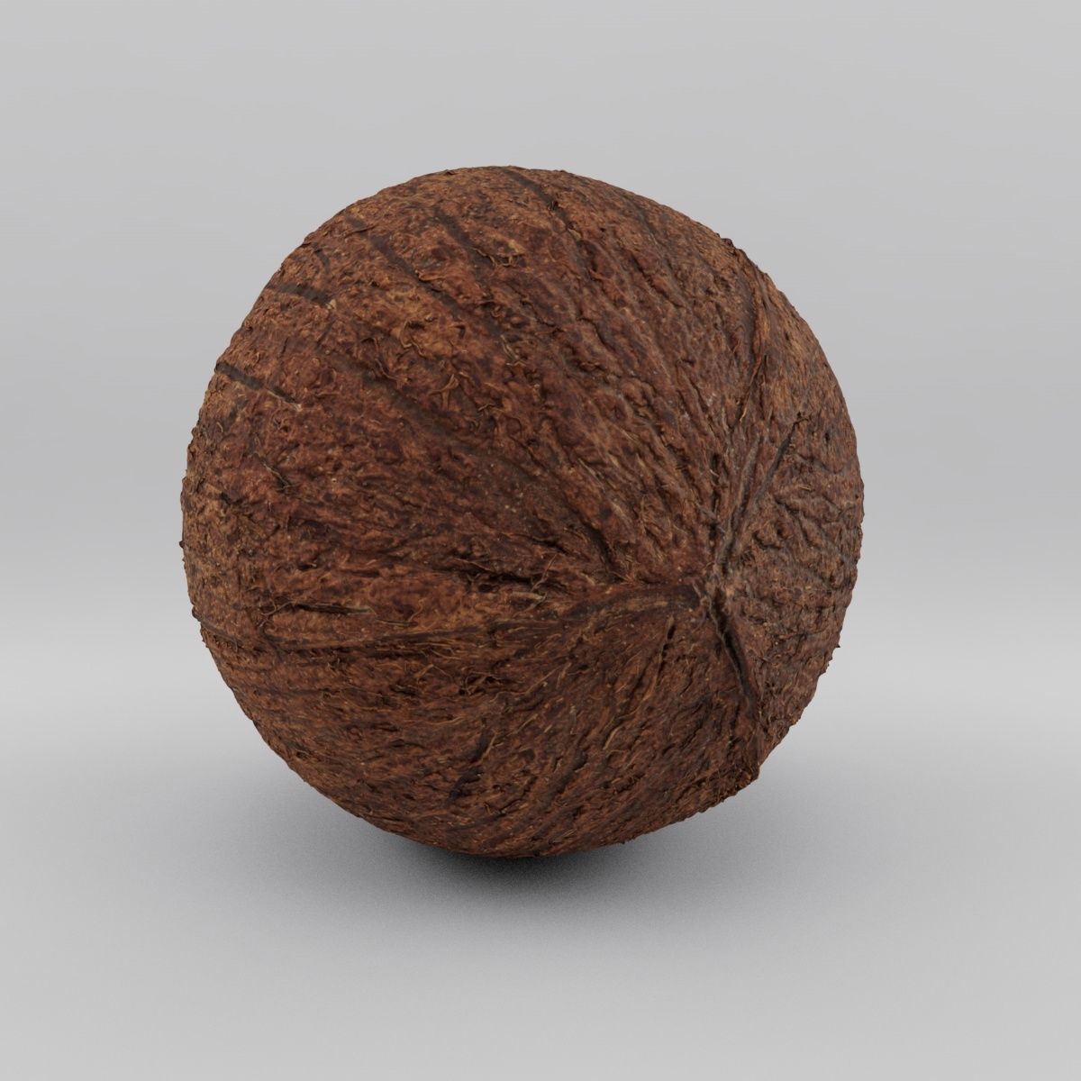 coconut - photoscan Low-poly 3D model_2