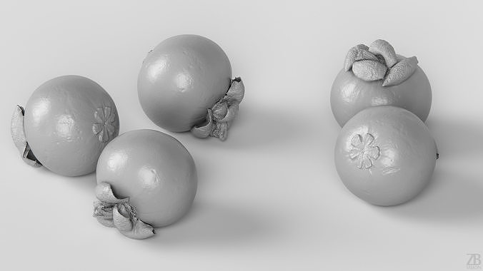 Mangosteen 3D model 4