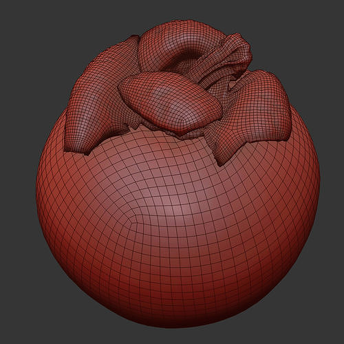 Mangosteen 3D model 7