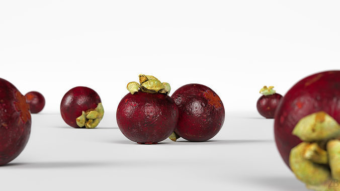 Mangosteen 3D model 2