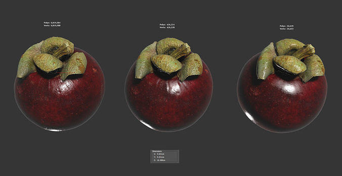 Mangosteen 3D model 6