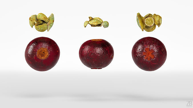 Mangosteen 3D model 5
