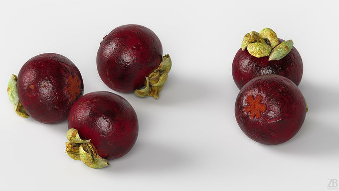 Mangosteen 3D model 3