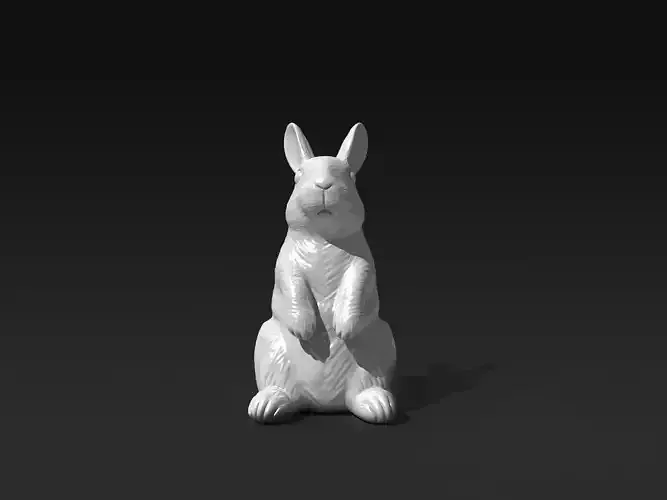 Standing Rabbit 3D print model