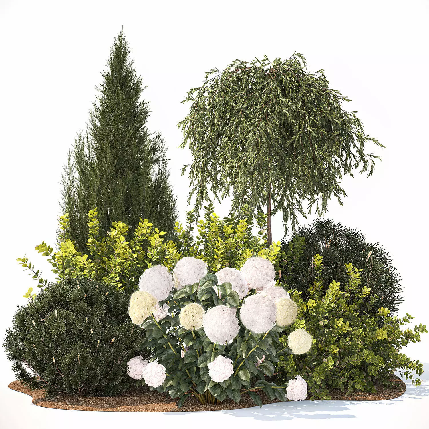 Alpine Hill With Thuja Hydrangea And Barberry Bush 1219 3D model