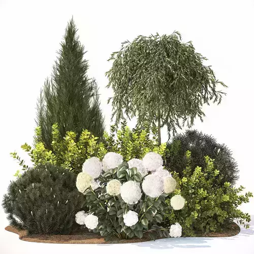 Alpine Hill With Thuja Hydrangea And Barberry Bush 1219