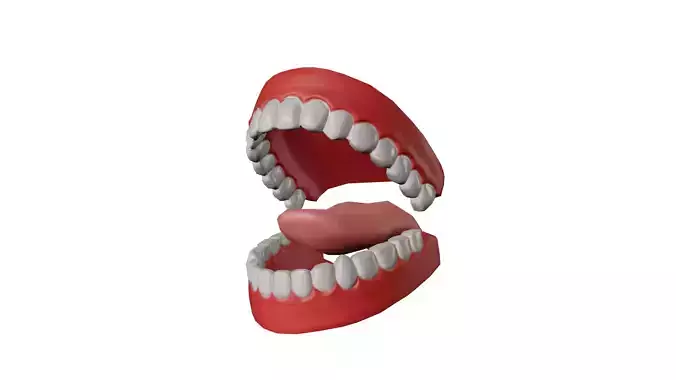Teeth and Tongue model for Low and Mid poly Characters