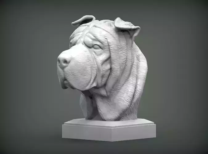 sharpei bust of dog 3D print model