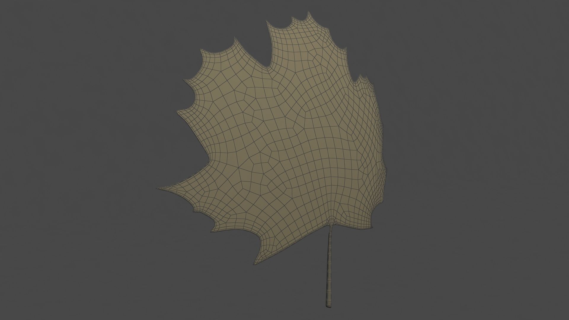 Maple Leaf 3D model_5