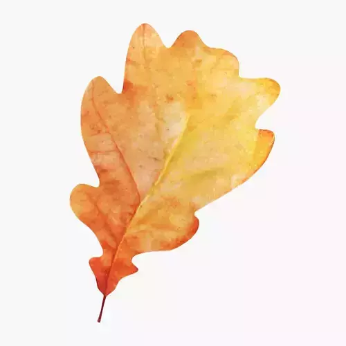 Oak Leaf v1 