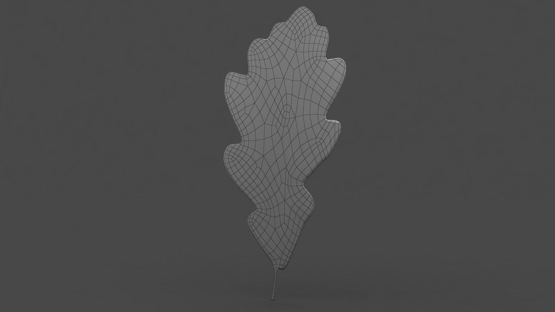 Oak leaf v2 3D model_5