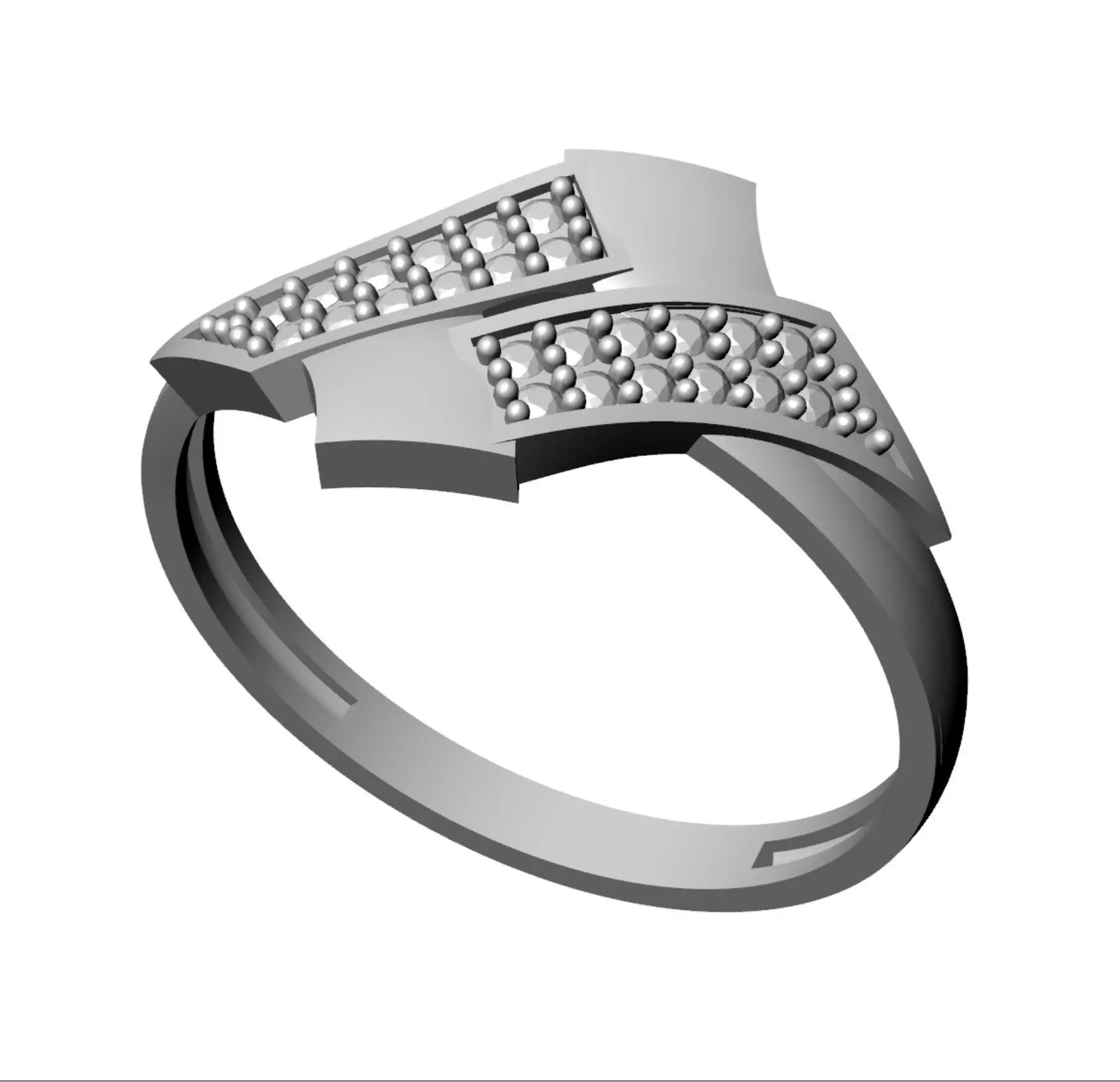 Professional ring model 2507 3D print model_0