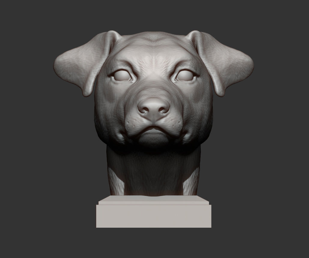 Jack Russell Terrier 3D print model_3