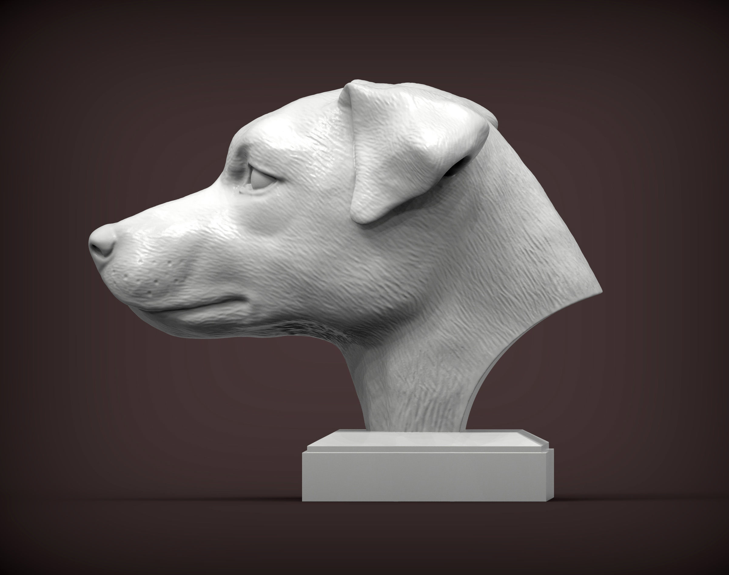 Jack Russell Terrier 3D print model_1