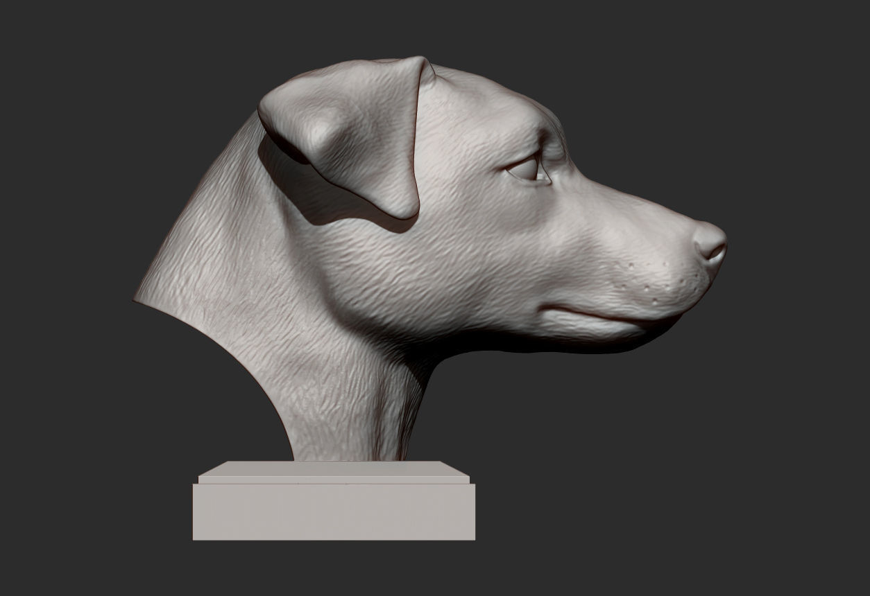Jack Russell Terrier 3D print model_4