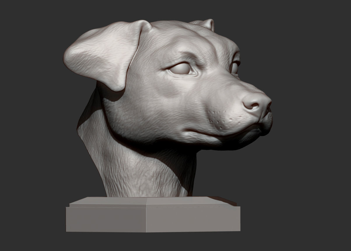 Jack Russell Terrier 3D print model_6