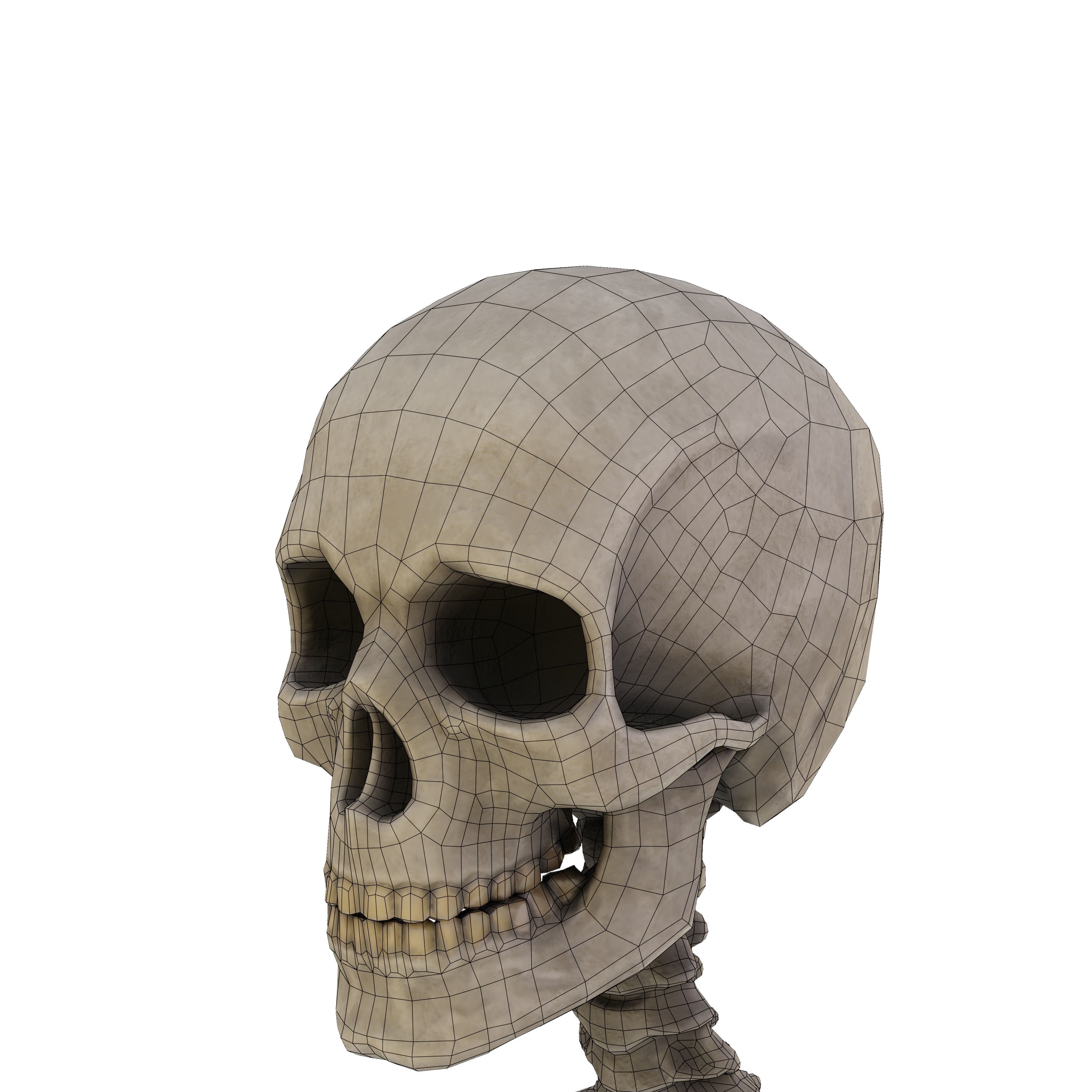 Humen Skeleton  Low-poly 3D model_11
