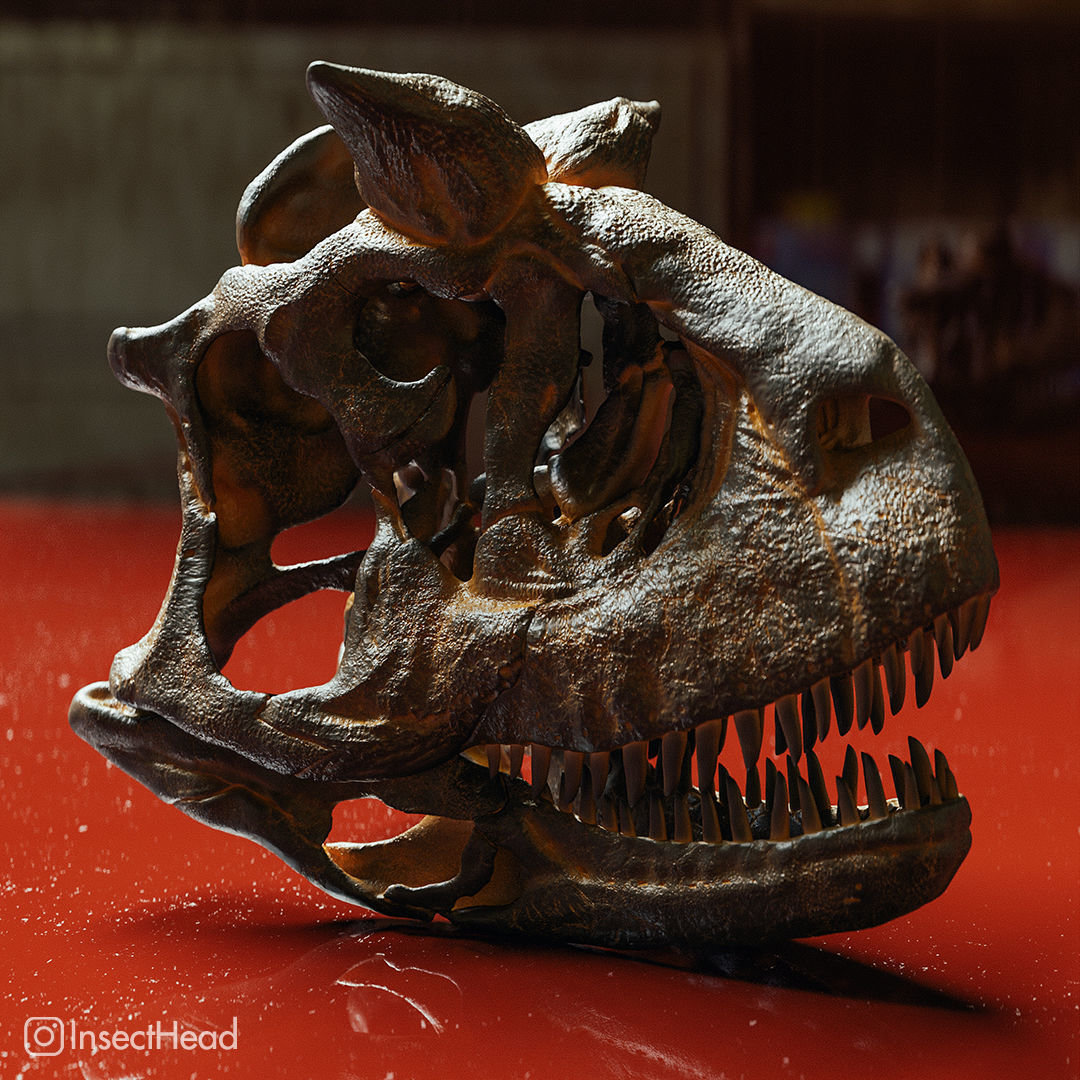 Carnotaurus sastrei skull fossil 3D print model_2