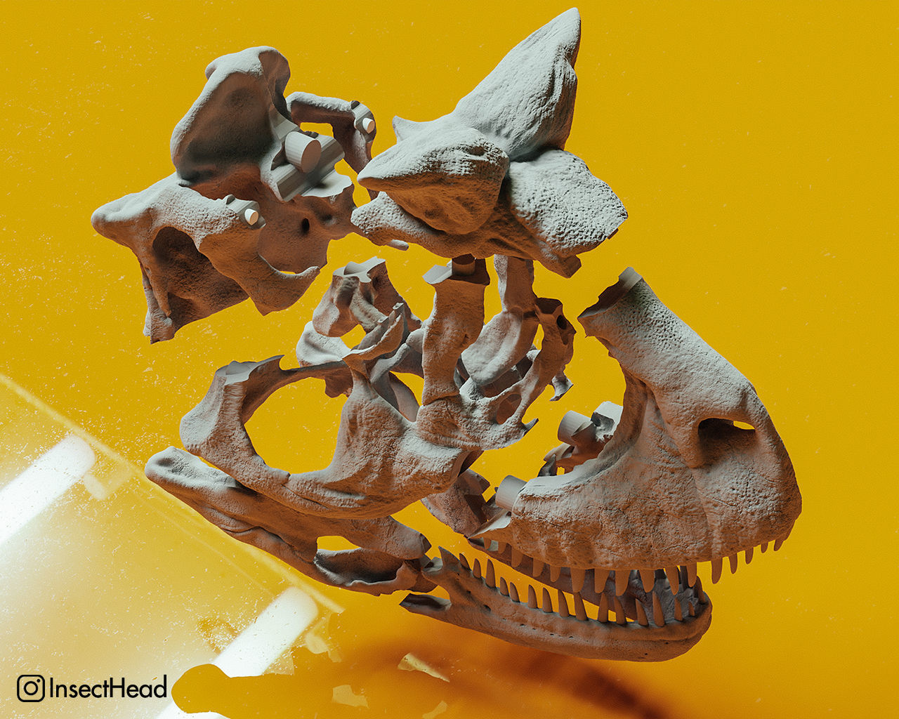 Carnotaurus sastrei skull fossil 3D print model_1