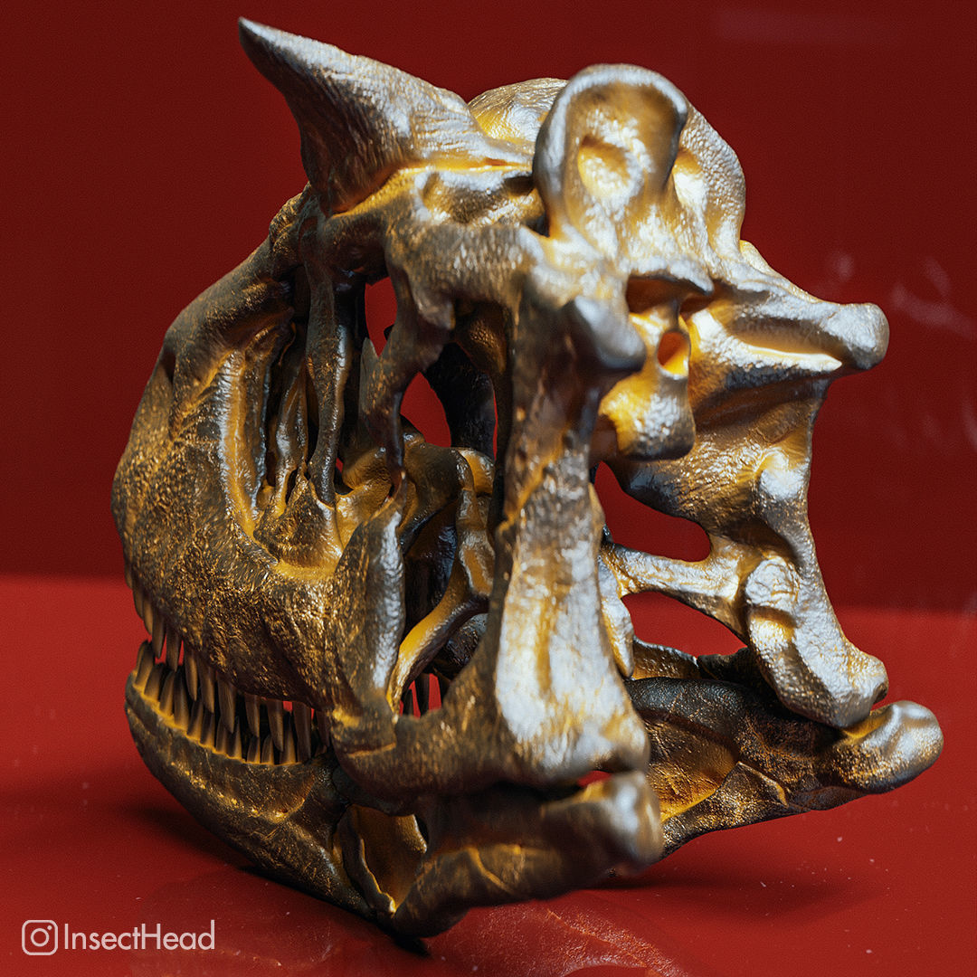 Carnotaurus sastrei skull fossil 3D print model_3