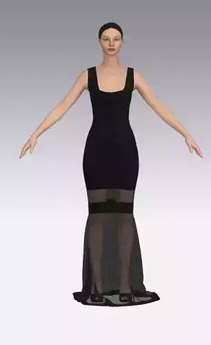 dress color and black color skirt  vual detail look 