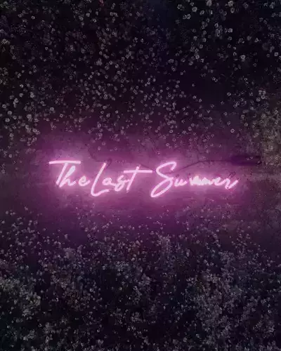 The last summer neon  3D model