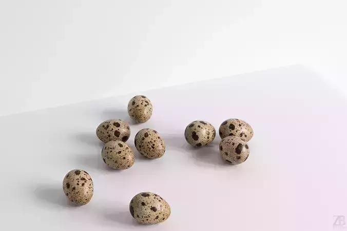 Quail Egg 3D model