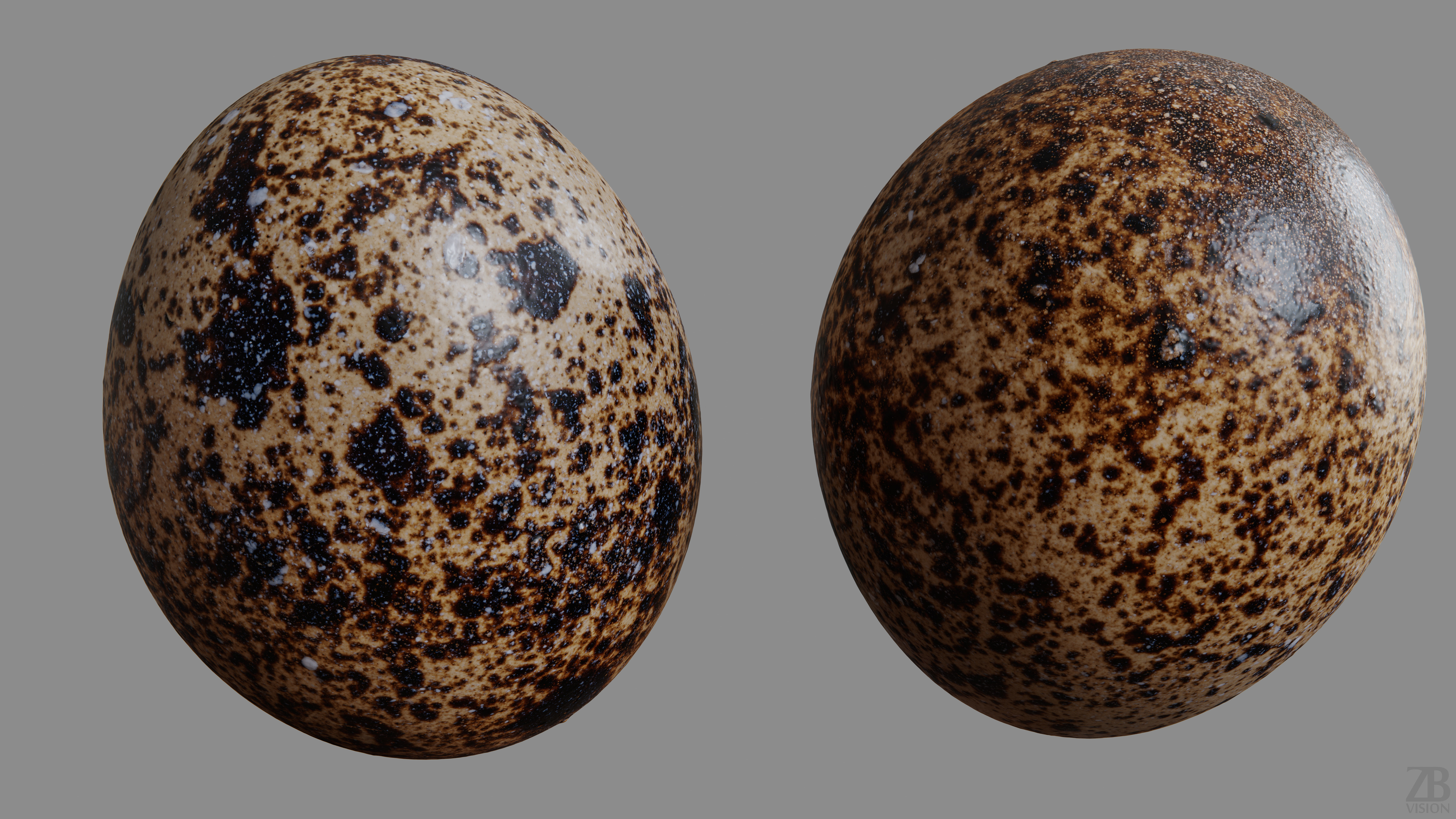 Quail Egg 3D model_9