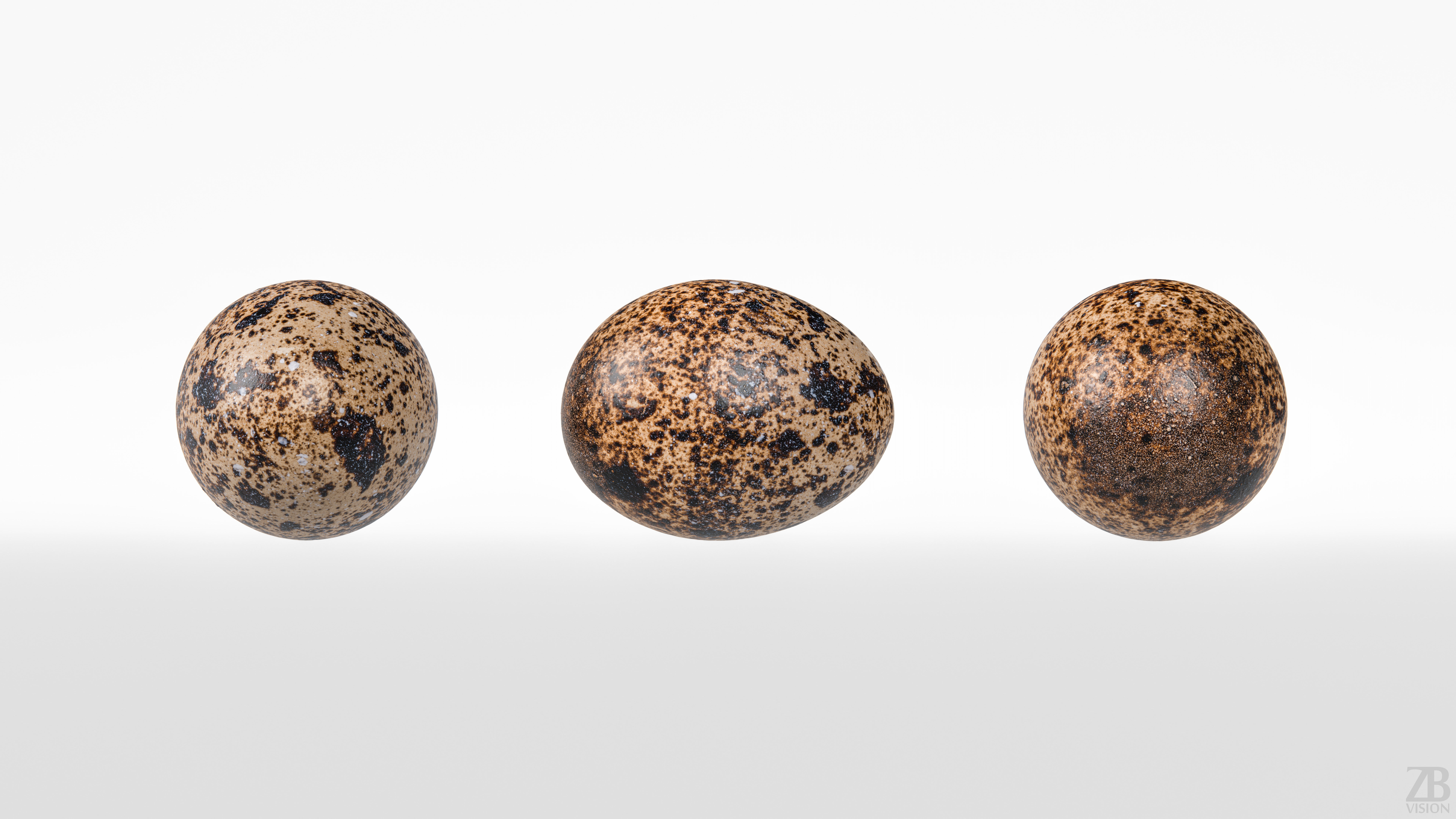 Quail Egg 3D model_4