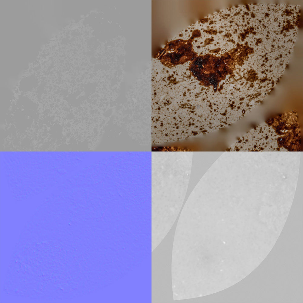 Quail Egg 3D model_8