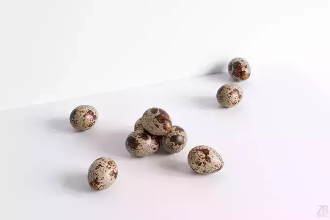 Quail Egg 3D model