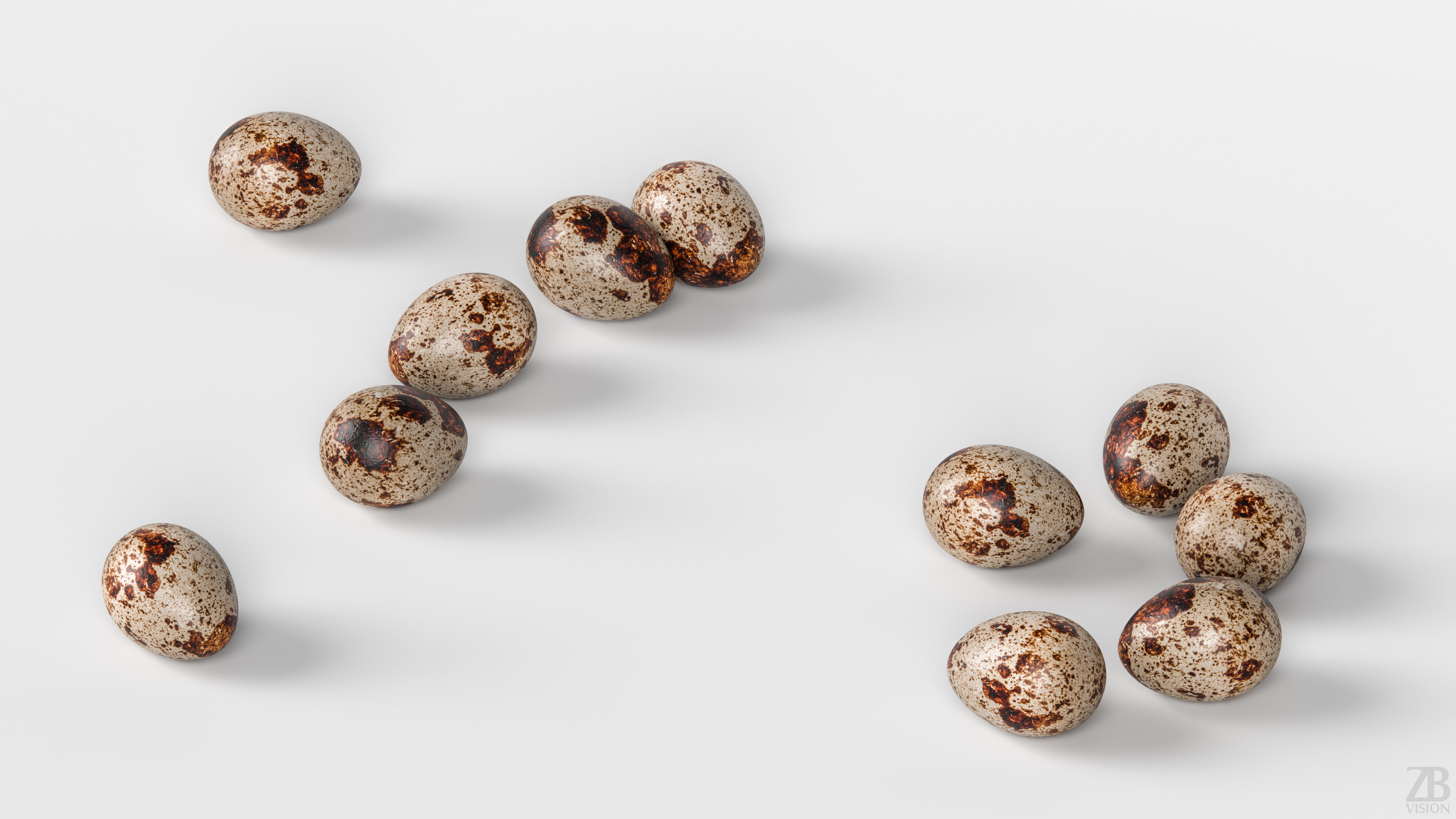 Quail Egg 3D model_2