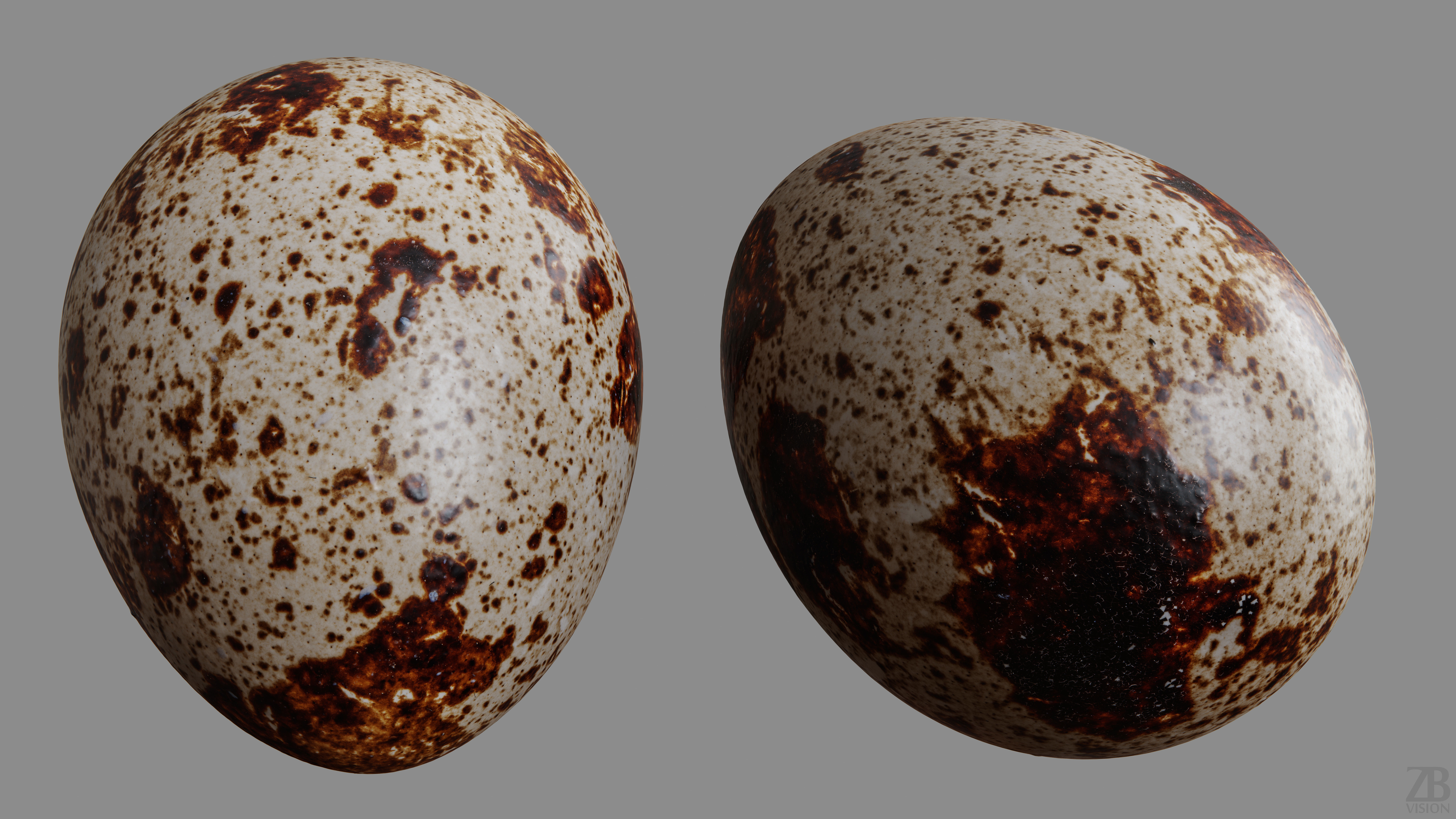 Quail Egg 3D model_9