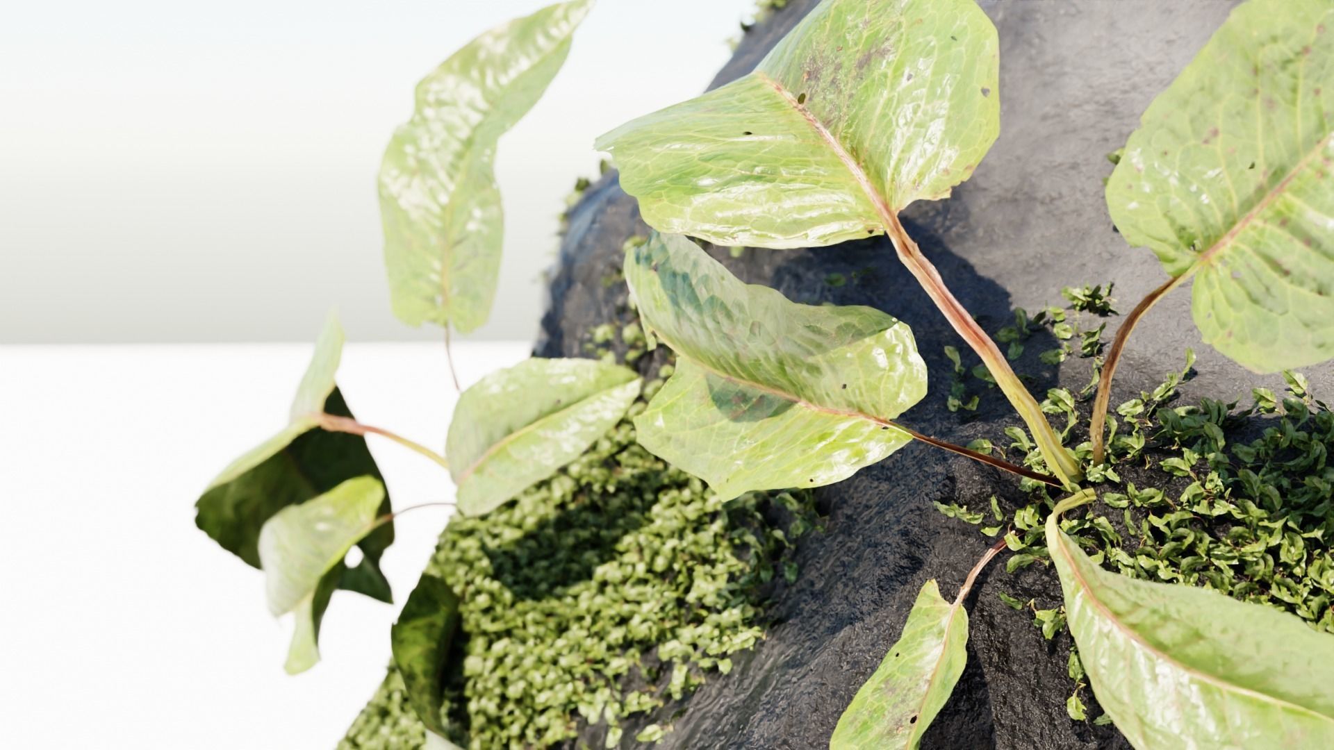 river rock Free 3D model_1