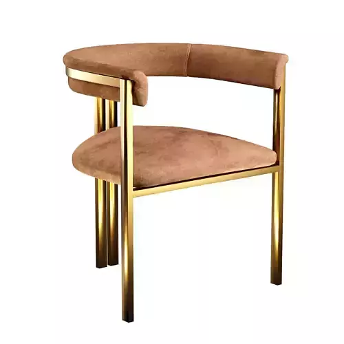 Chair with Armrest Paris